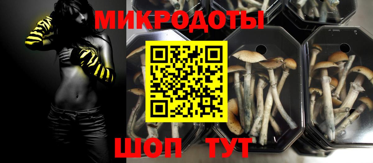 закладки  Галлюциногенные грибы мухоморы  Галлюциногенные грибы Psilocybine cubensis  Вход с VPN  Копейск 